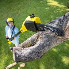 Best Pest Control for Lawns  in Lamont, CA