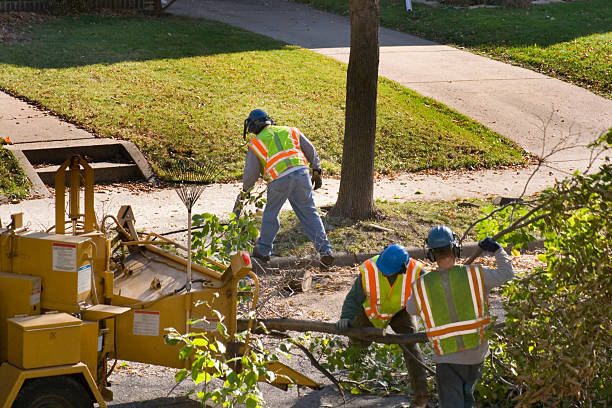 Best Landscape Design and Installation  in Lamont, CA